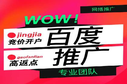 SEM优化策略：案例解读成功之道